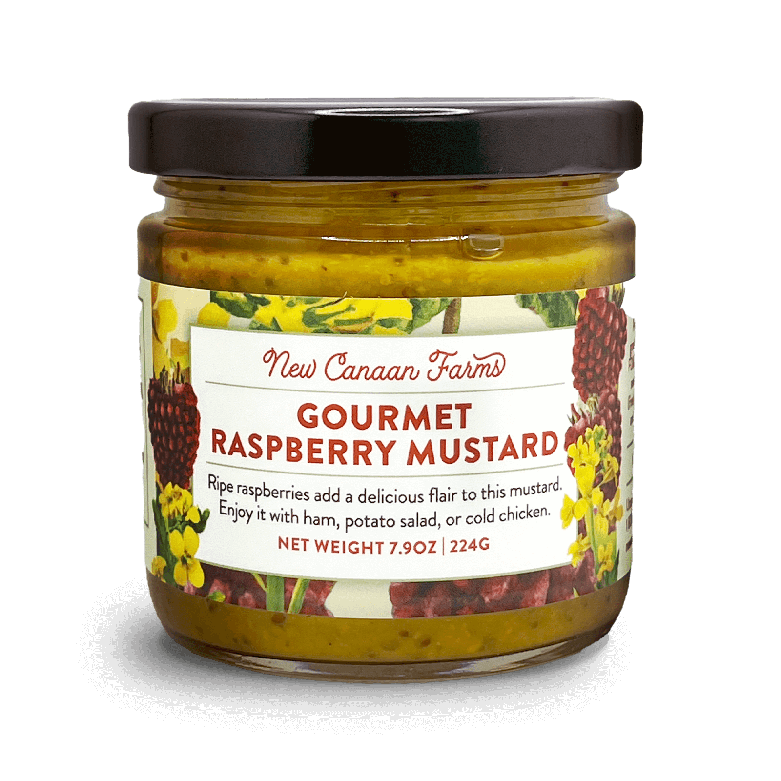 Gourmet Raspberry Mustard